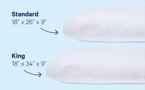 Down Pillow